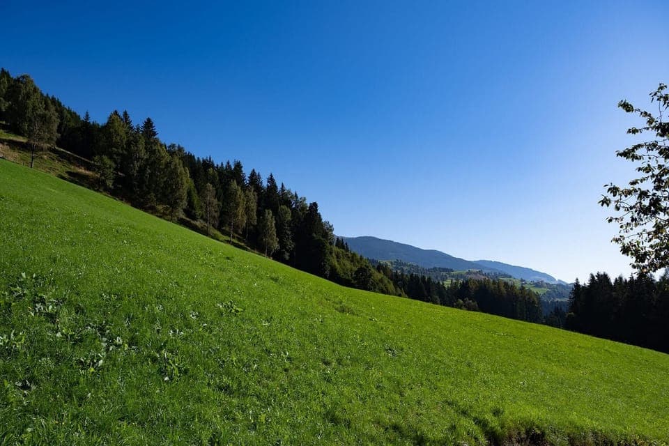 View from Holiday Home [summer]