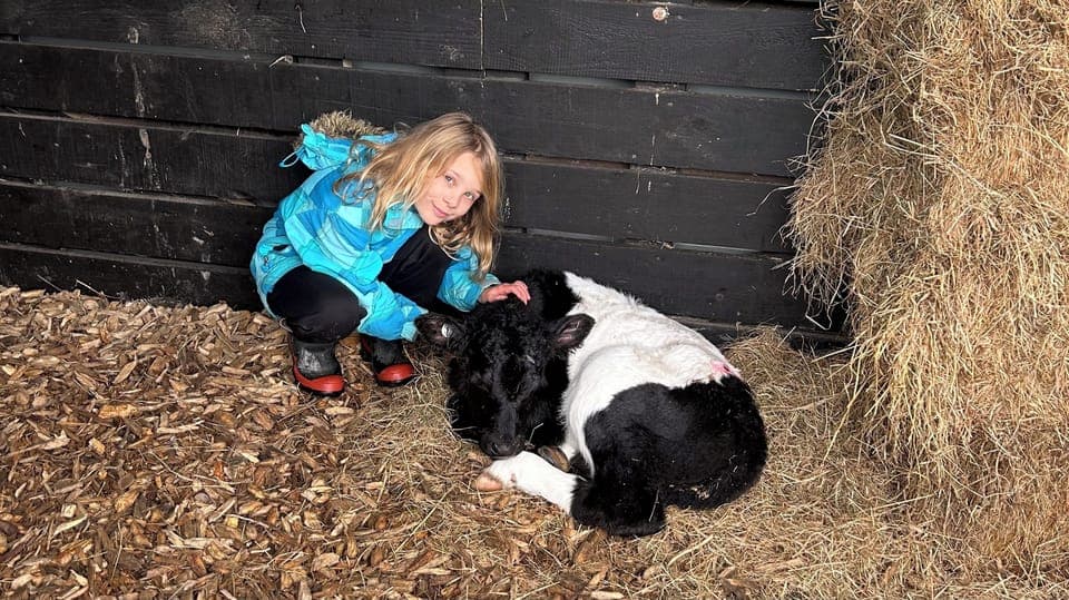Daughter Emily-Rose with her 2025 Ag Day Calf