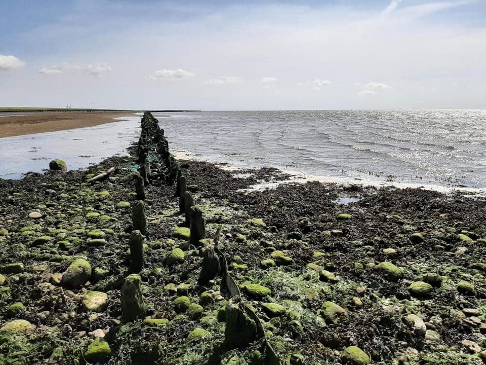 Classic House, 3 Bedrooms | Water view