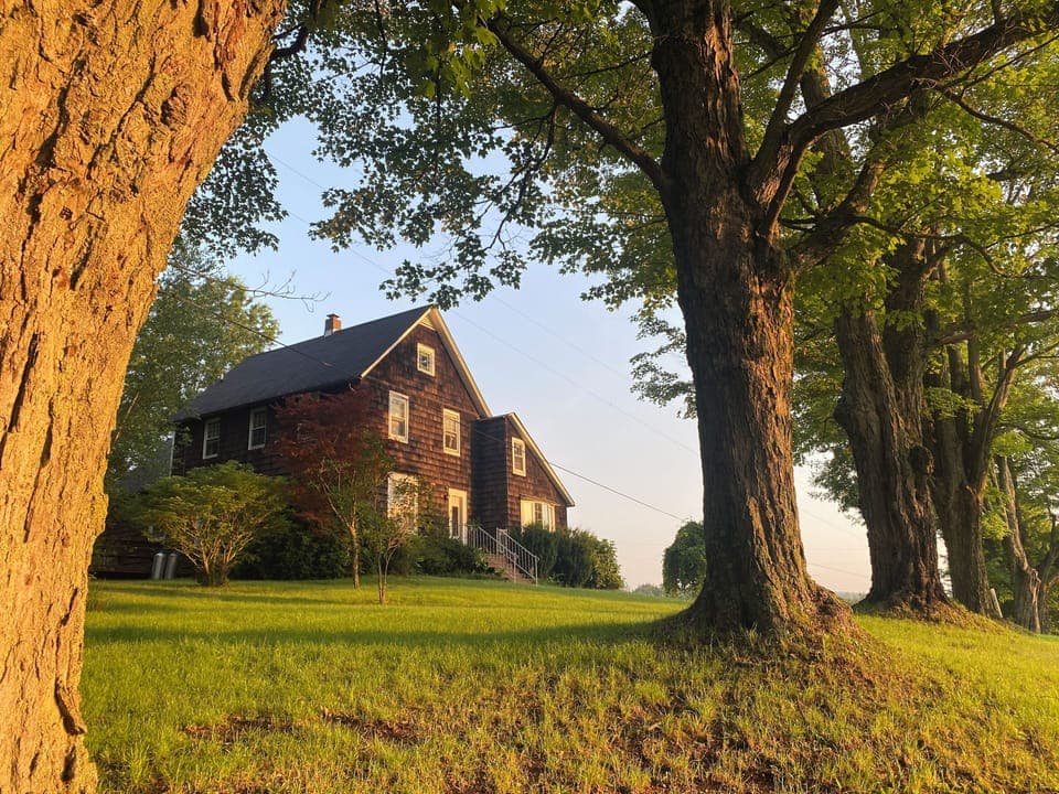 Welcome to the Patchen Hill Farm House, Tree Farm, & Arboretum! Its beautiful!