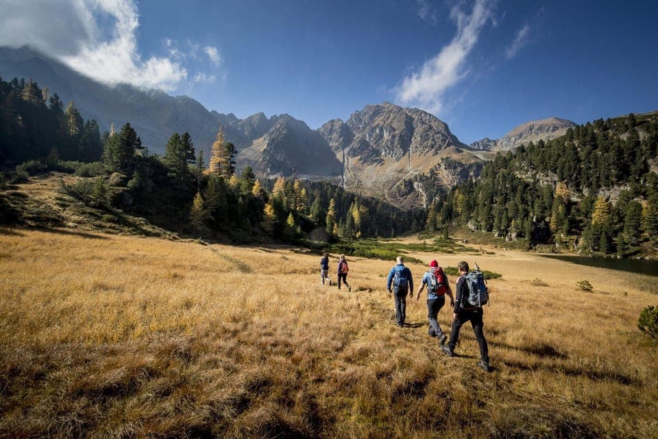 Region [summer] (>5 km)