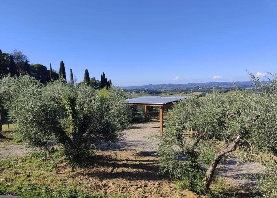 Outdoor, Scenic View