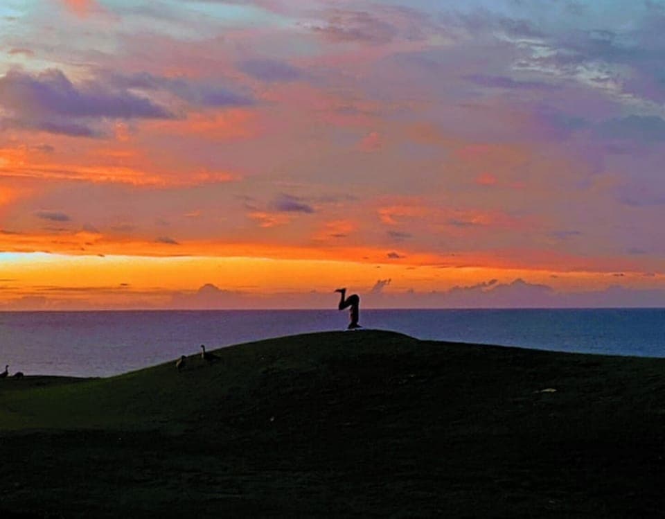 Live your own dream !