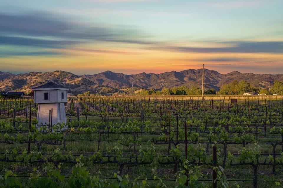 Villa | 2 bedrooms, desk, Internet