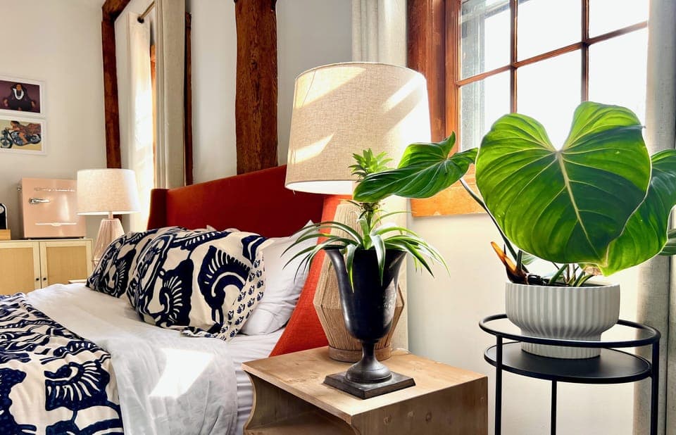 Comfort Double Room | Individually decorated, individually furnished, blackout drapes