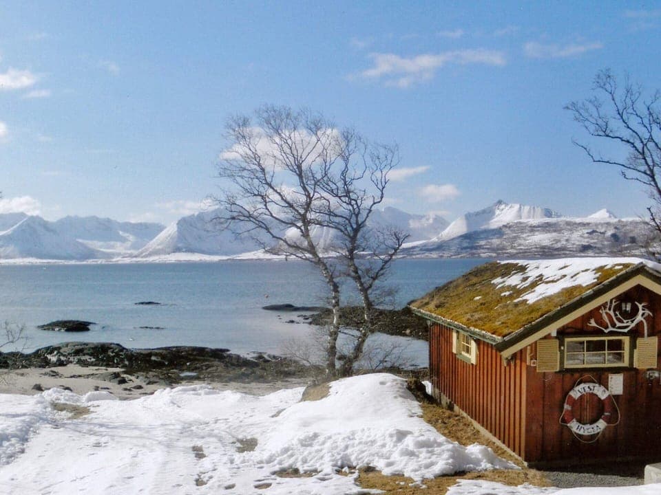 House | Miscellaneous