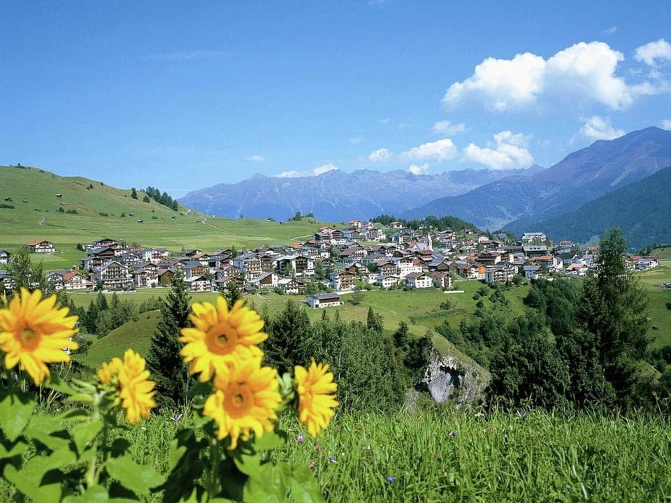 Chalet | View from property