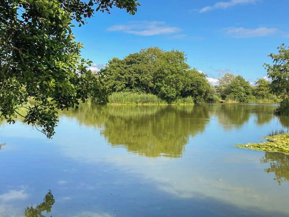 Fishing lakes well stocked just behind our caravan Sandy Toes | Sandy Toes, Newquay
