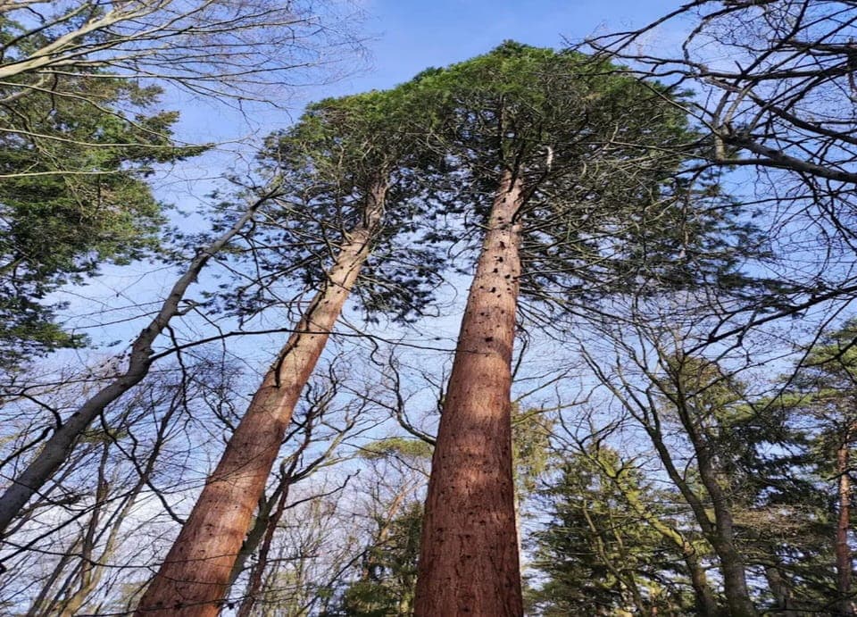 House | View from property