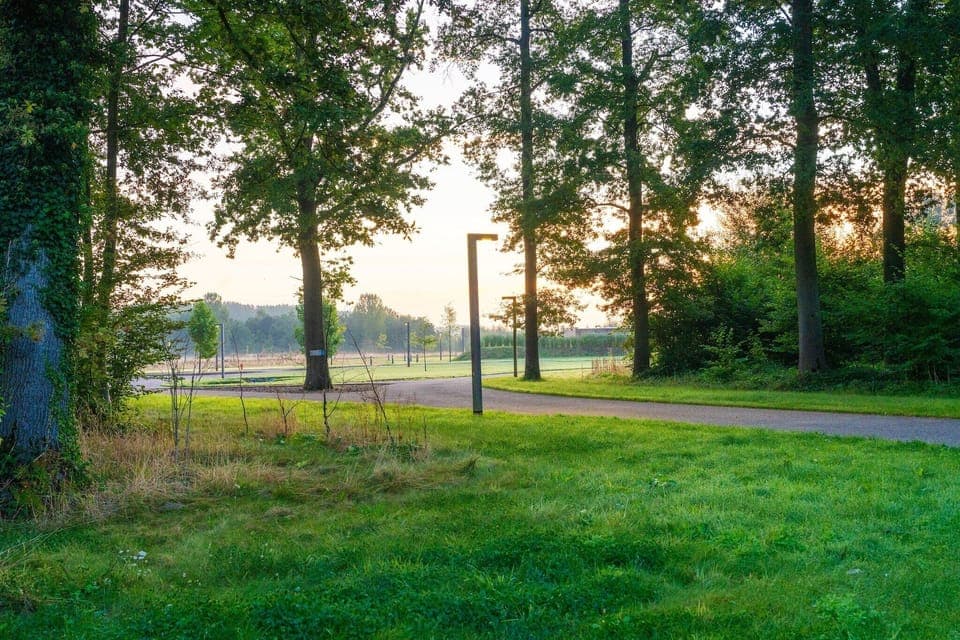 Immediate Surroundings [summer] (<1 km)