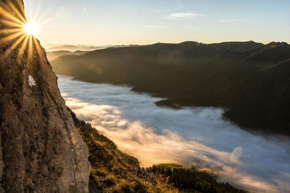 Region [summer] (>5 km)