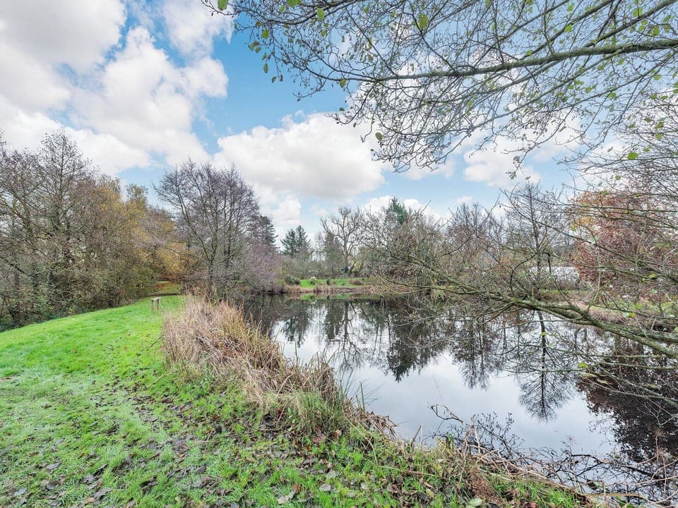 Surrounding area | Snowdrop, Oakford, near Llanarth