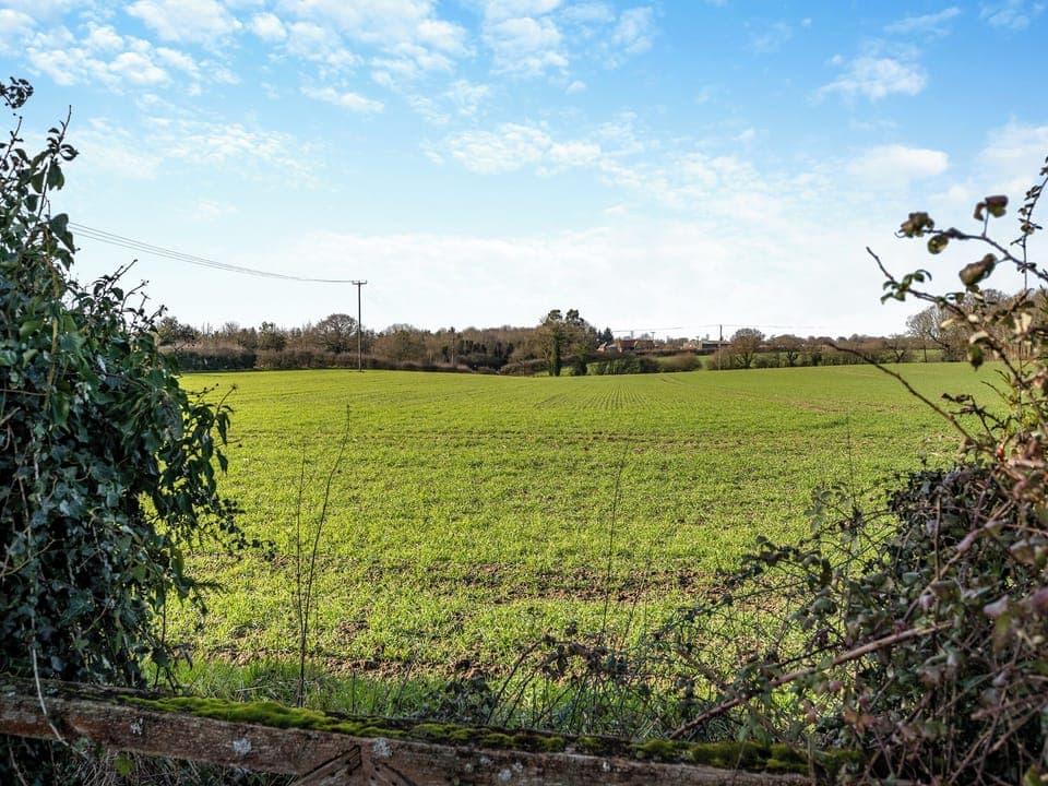 Surrounding area | Partridge - Birds Farm Holidays, Colchester
