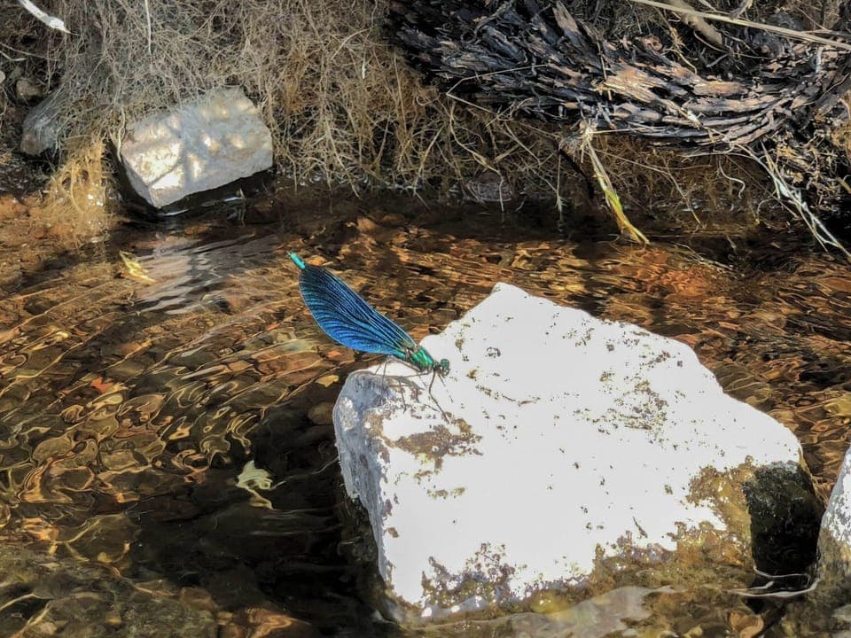 Surrounding area | Ledmore, Aros, Isle of Mull