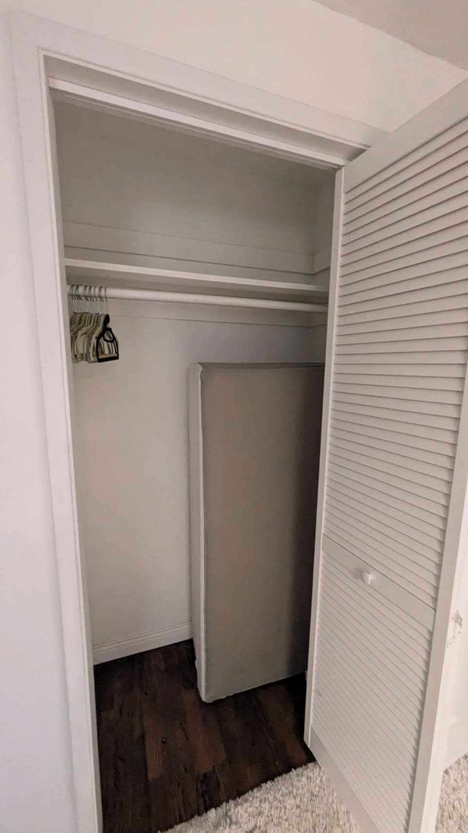 Queen fold up bed in closet. 