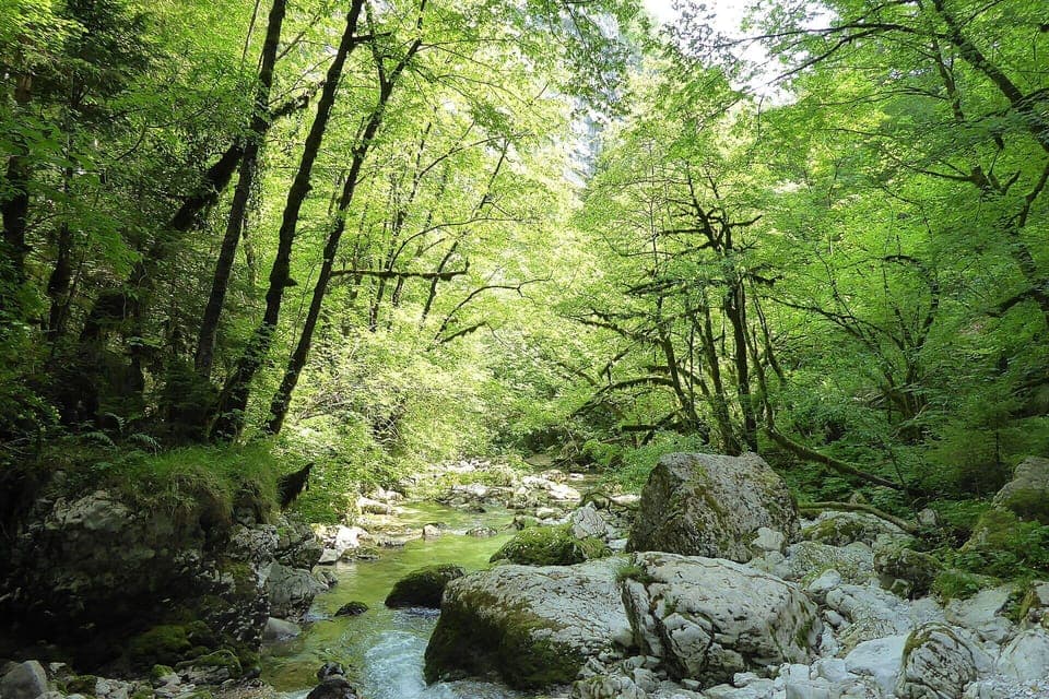 Activities, Autumn, Spring, Summer