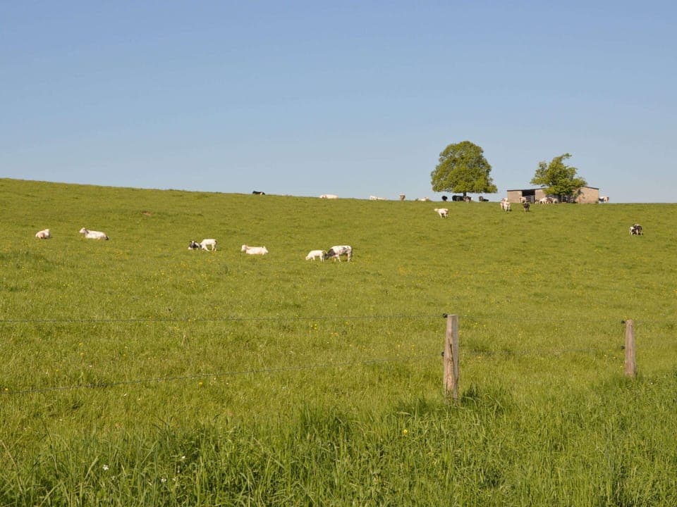 Classic House, 5 Bedrooms | View from property