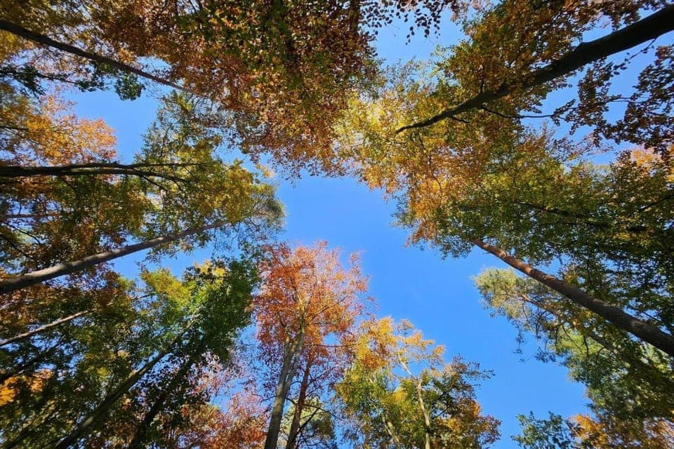 Surroundings [summer] (1-5 km)