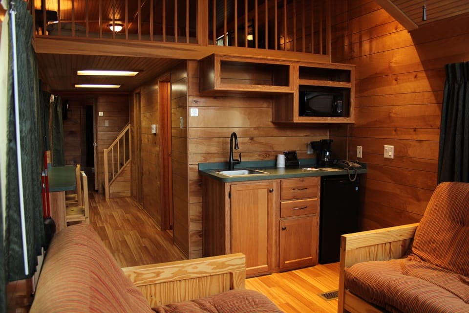 Deluxe Cabin | Private kitchenette | Fridge, microwave, coffee/tea maker