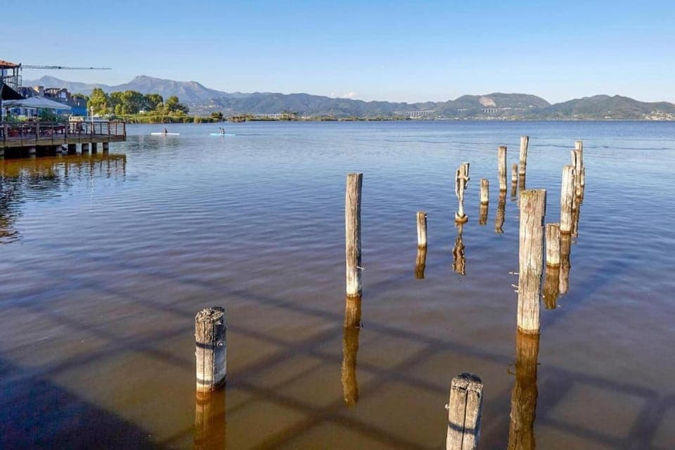 Region [summer] (>5 km)