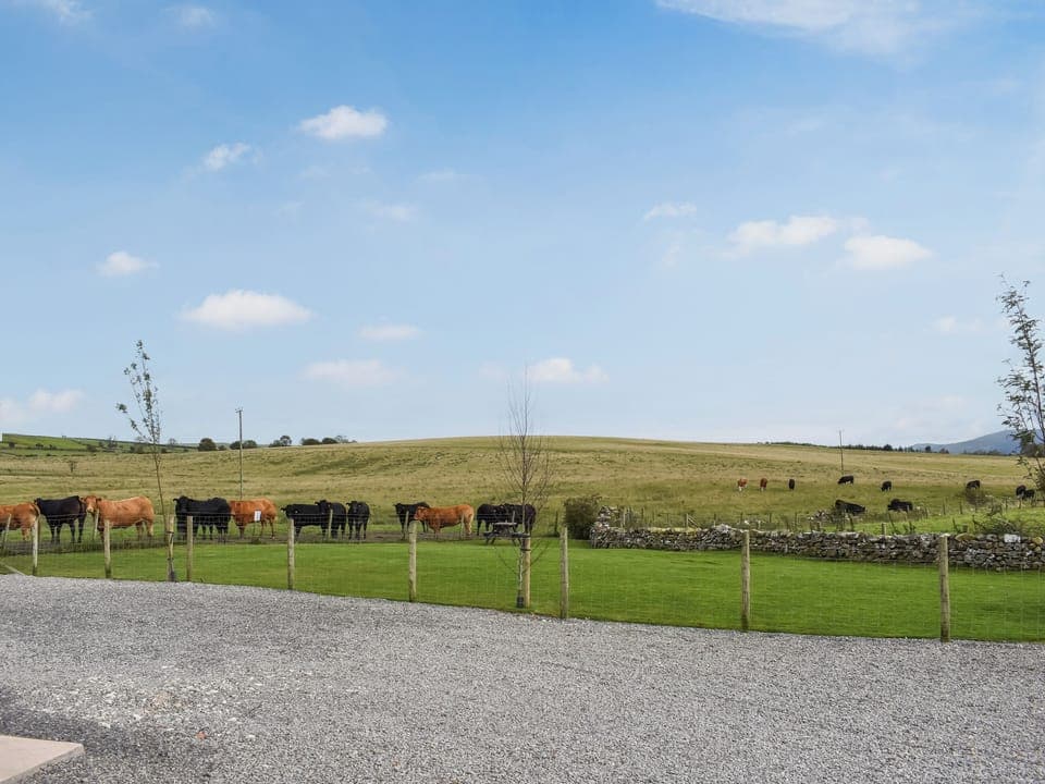 View | Regal Lodge - Forest Views, Moota, near Cockermouth