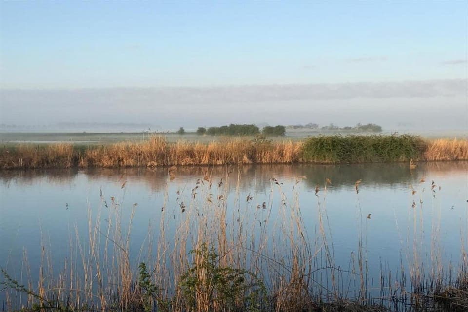 Region [summer] (>5 km)