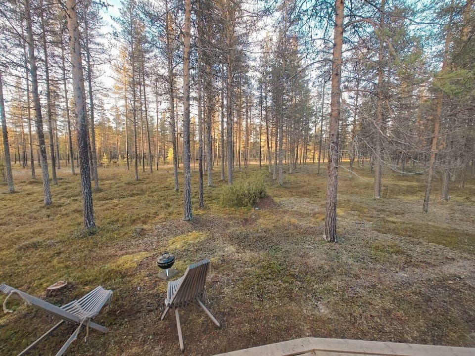 A peaceful outdoor area with forest views right beside the cabin.