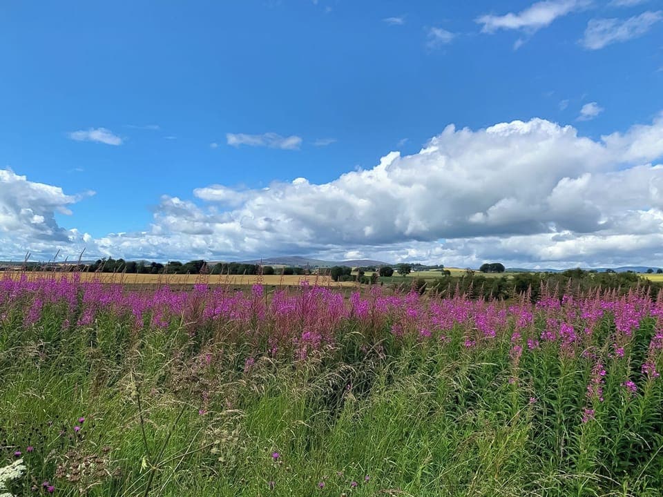 Surrounding area | Farmtoun Cottage, Forfar