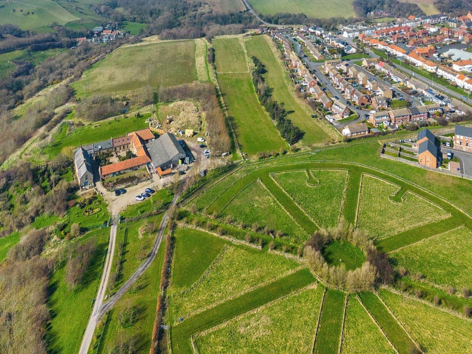 Setting | Seaton Orangery - Seaton Hall, Staithes