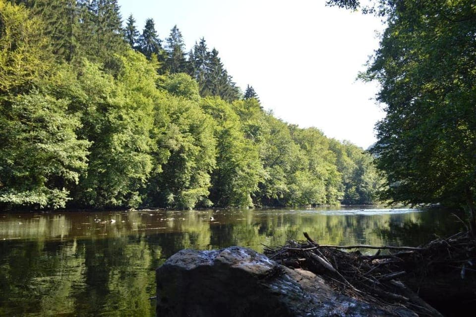 Region [summer] (>5 km)