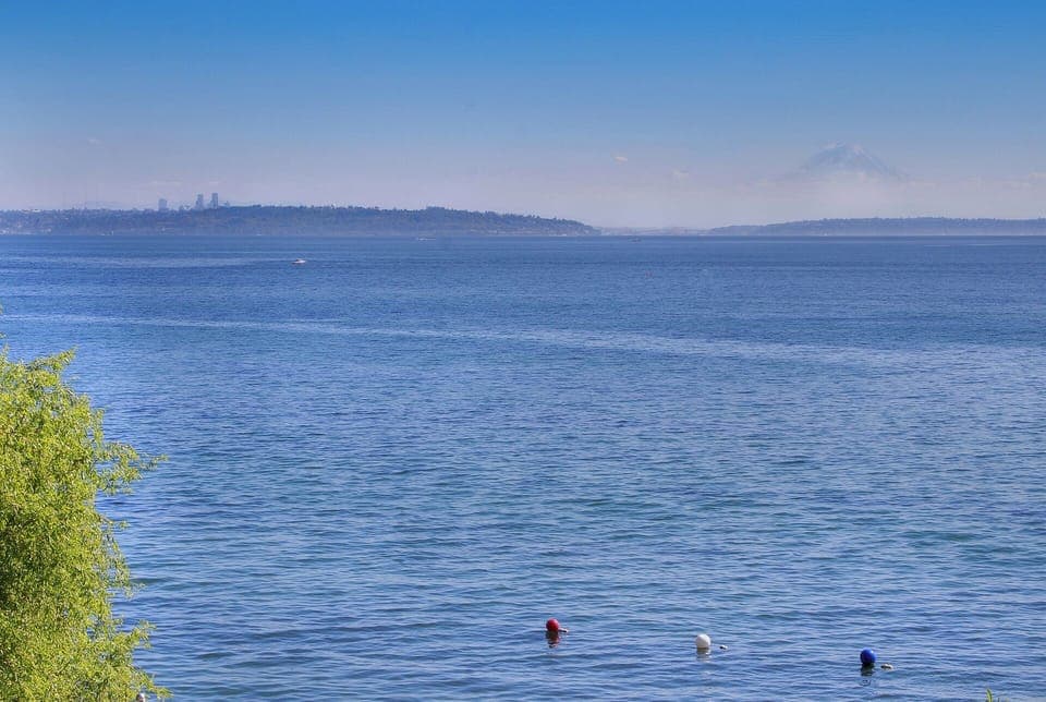View of Mt. Ranier & Seattle