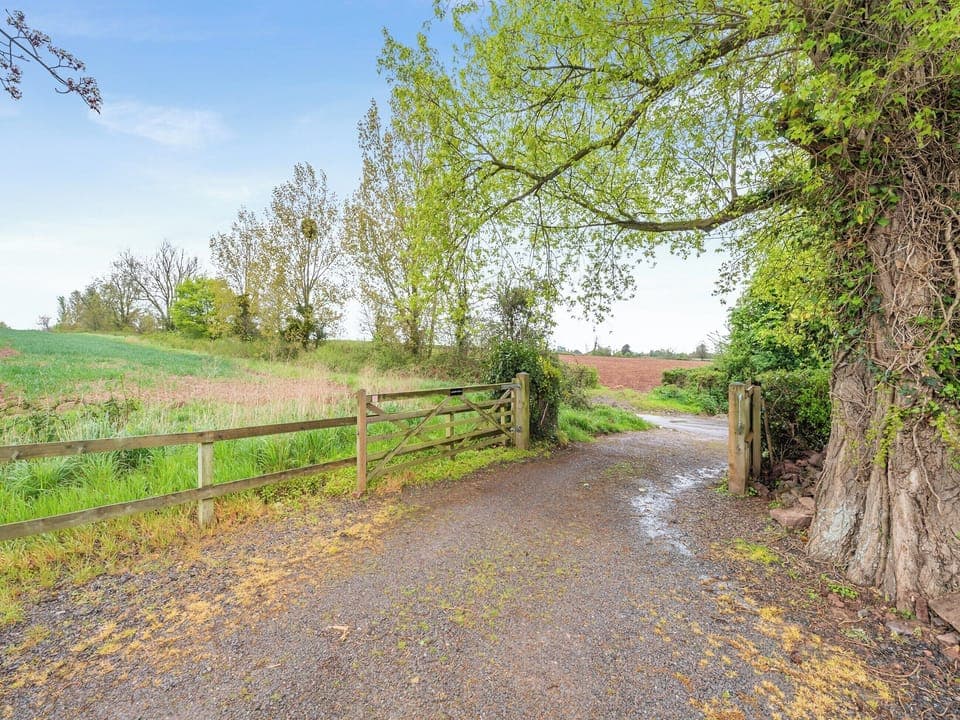 Driveway | Willow Lodge 2 - Willow Lodges, Taunton
