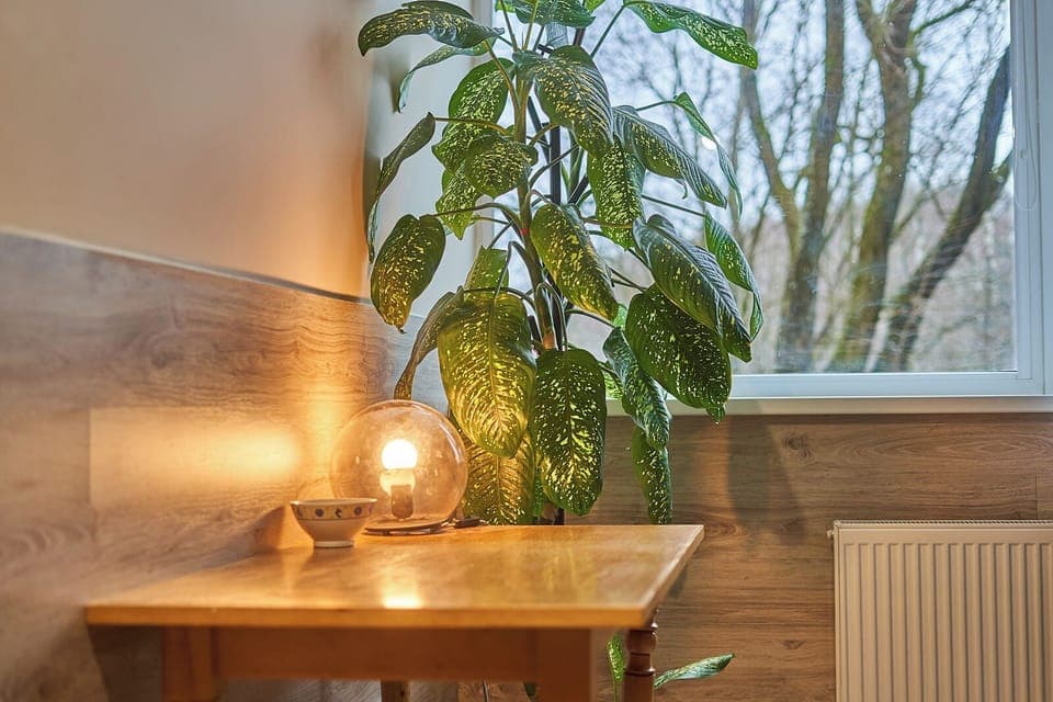 Basic Shared Dormitory, Mixed Dorm, Non Smoking | Free WiFi, bed sheets