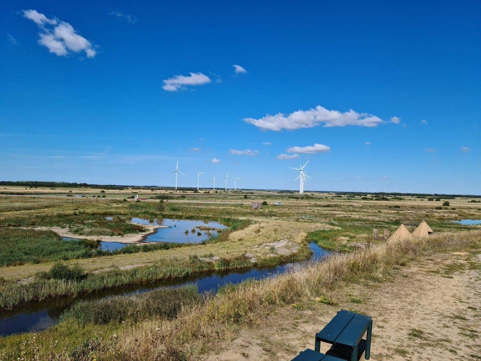 House | Miscellaneous