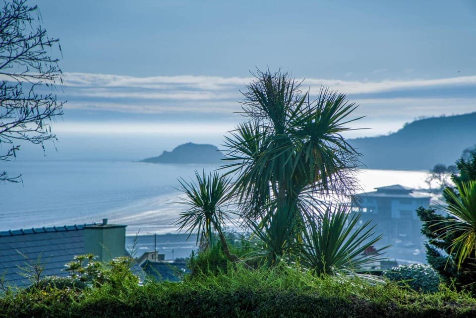 Footsteps - 2 Bedroom Apartment - Saundersfoot (24218)