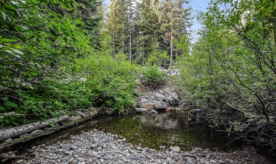 Private access to the creek. 