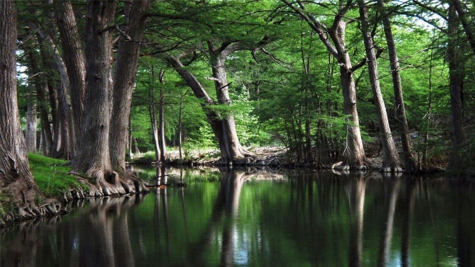 springs in Kerrville