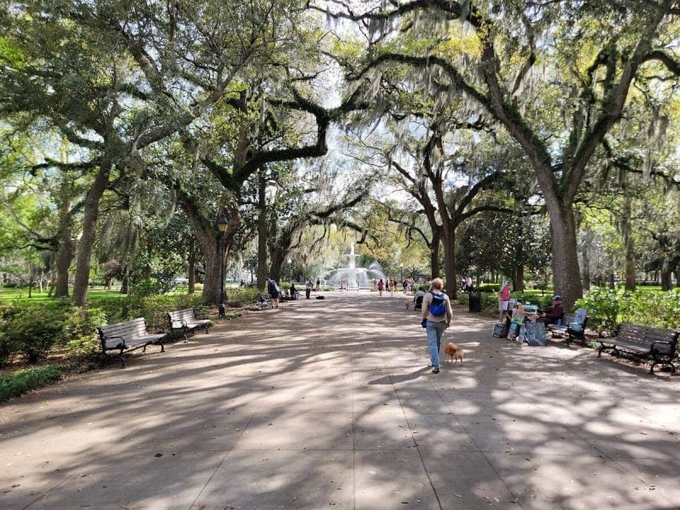 Forsyth Park 
