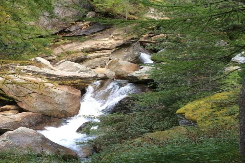 Region [summer] (>5 km)