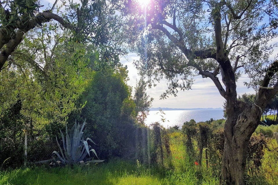 Amazing Sea View Loft, Afitos (3)