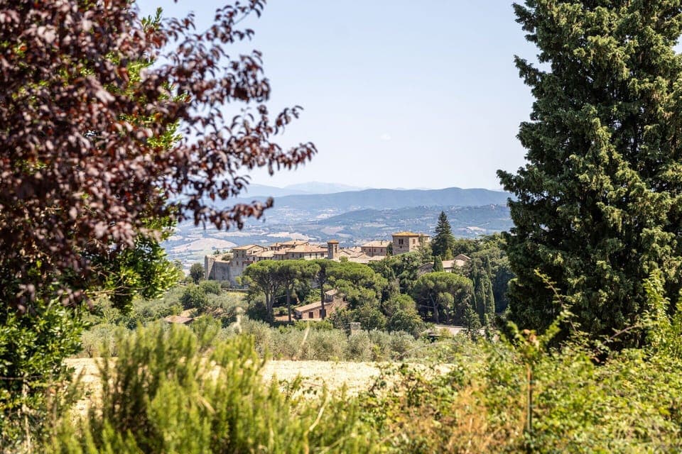 Leaf, Tree, Nature, Vegetation, Shrub, Landscape, Plant Community, Land Lot, Rural Area, Sunlight