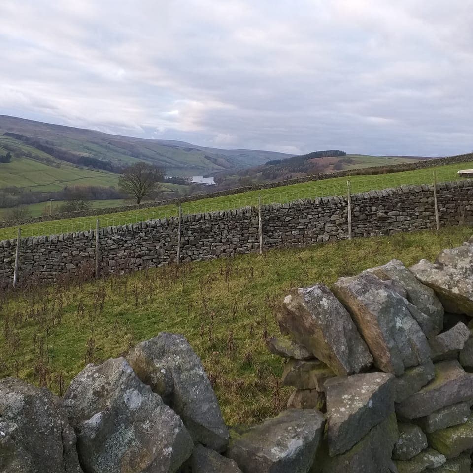 View from Silver Hill