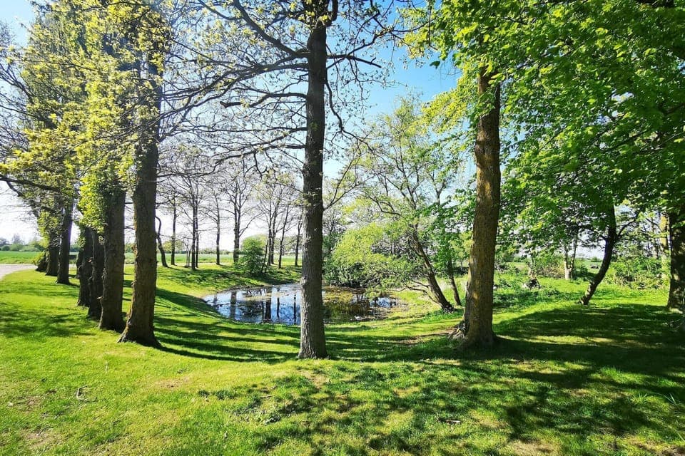 Immediate Surroundings [summer] (<1 km)