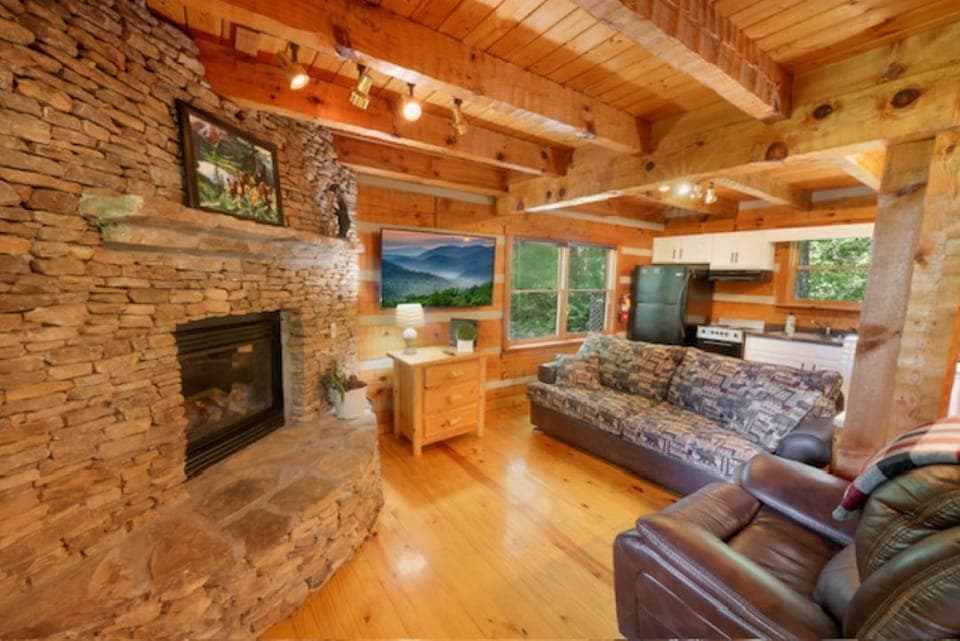 Cozy living room with fireplace, TV and fold out couch.