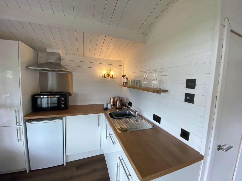 Cabin | Private kitchen | Fridge, microwave, oven, stovetop