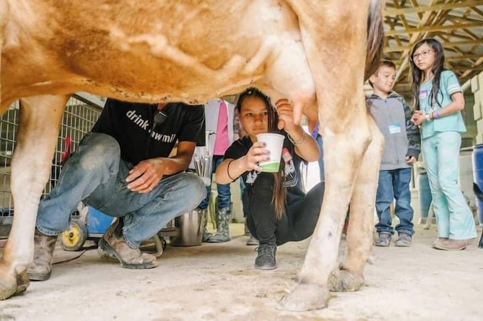 Add-On Experience: Milking Cows