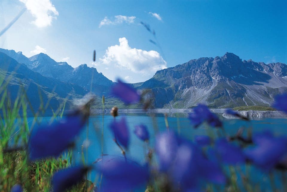 Apartment, Smoking | 1 bedroom