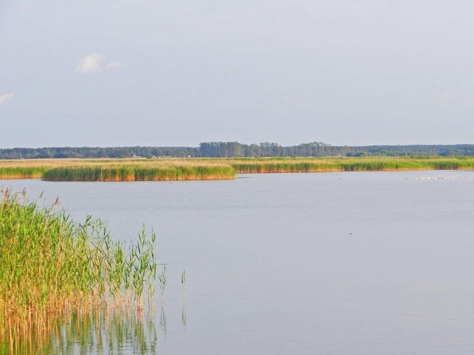 Mobile Home | Exterior