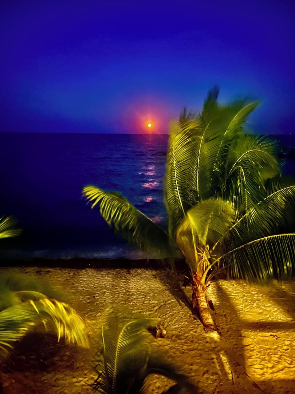 Studio, Sea View | View from room