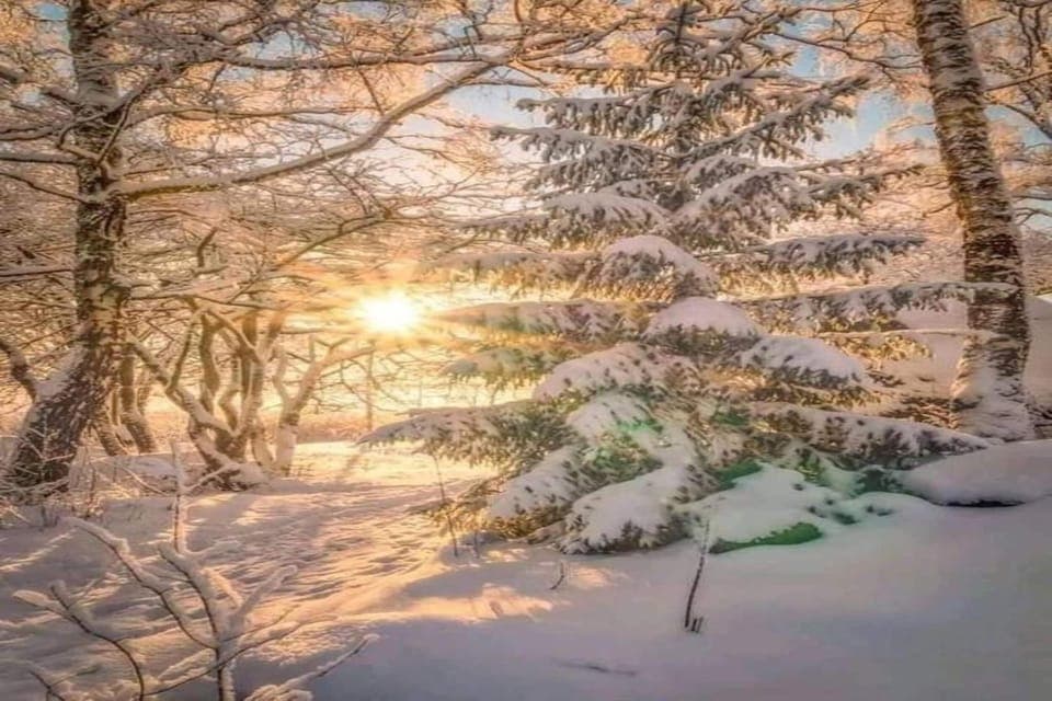 Surroundings [winter] (1-5 km)